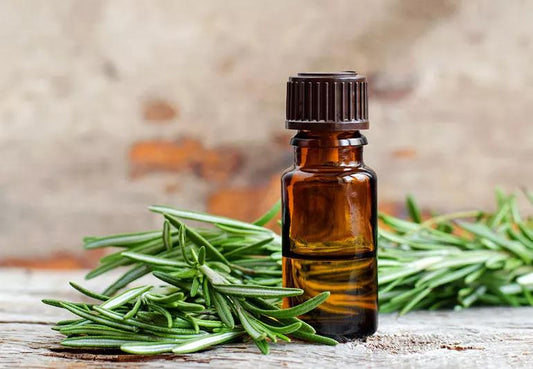 Rosemary Oil – Natural and Pure